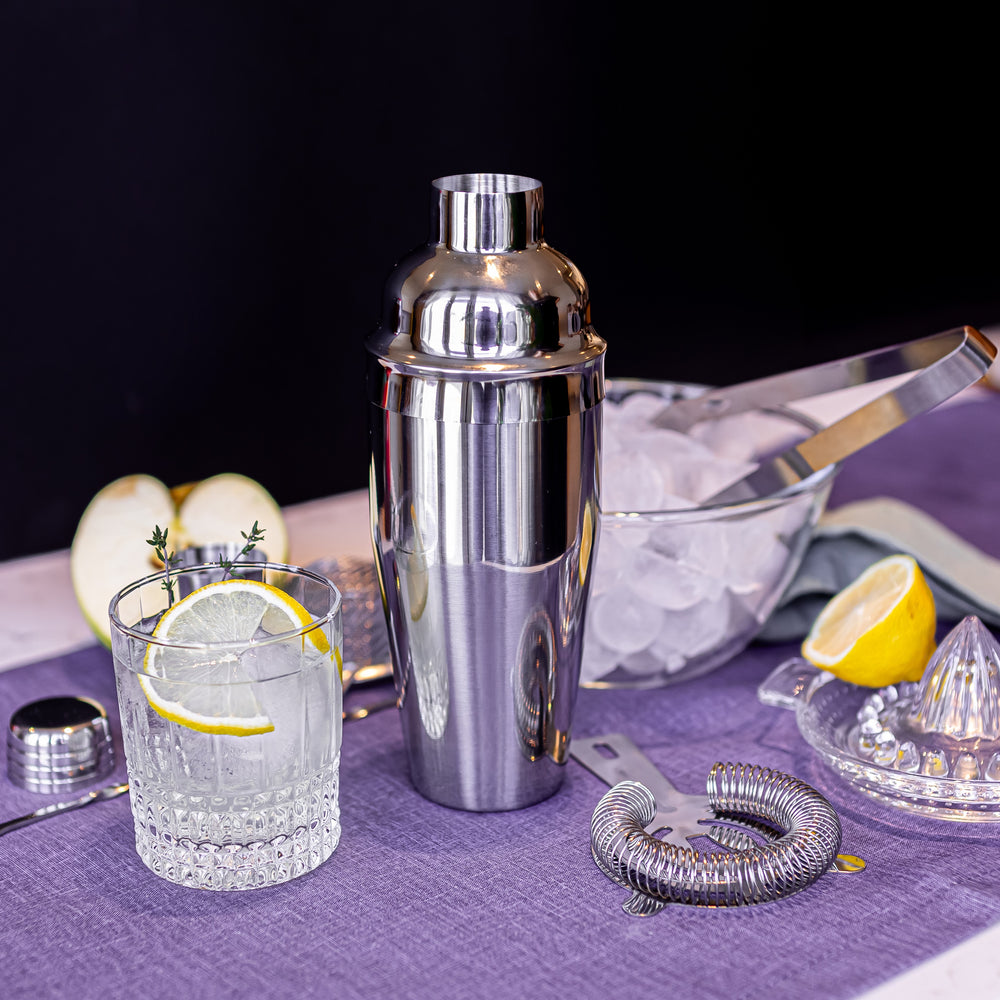 ORNA Cocktail Shaker Set of 10 pieces, Stainless Steel Cocktail Making Kit, 750 ml