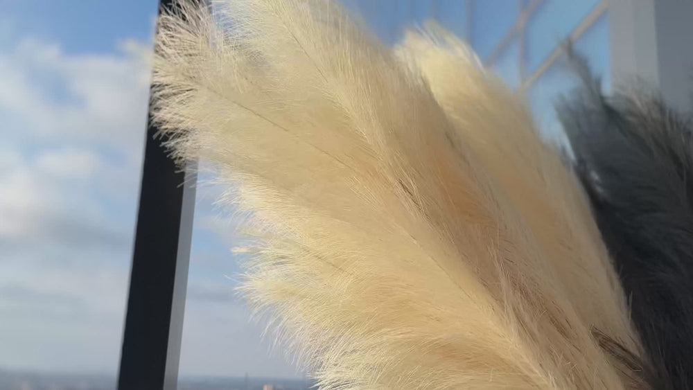 
                  
                    Load and play video in Gallery viewer, Extra fluffy and tall artificial pampas ORNA in Ivory, 3 stems set, Giftbox
                  
                